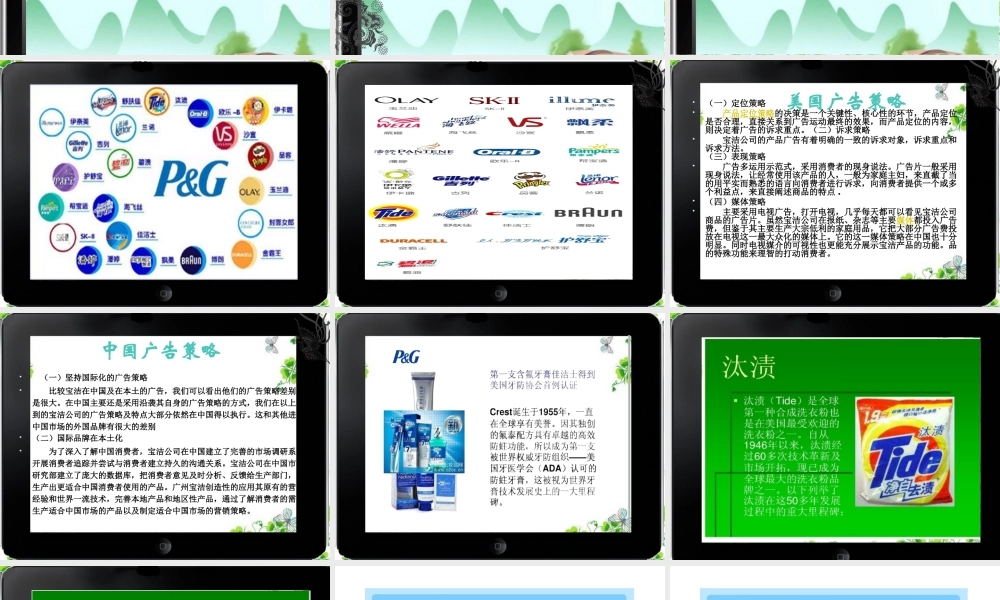 某公司及产品的介绍