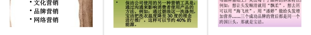 某公司及产品的介绍