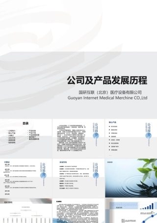 某公司及产品发展历程概论