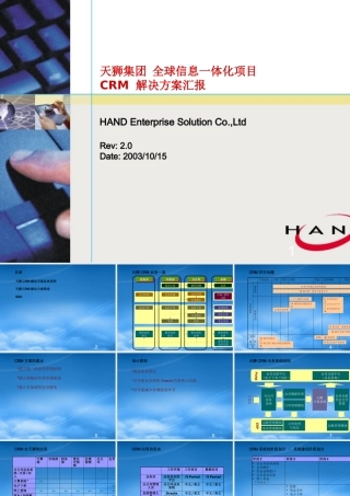 天狮集团 全球信息一体化项目建议方案
