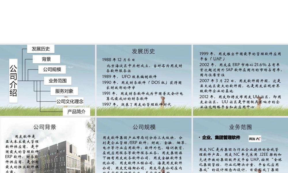 某公司及产品简介