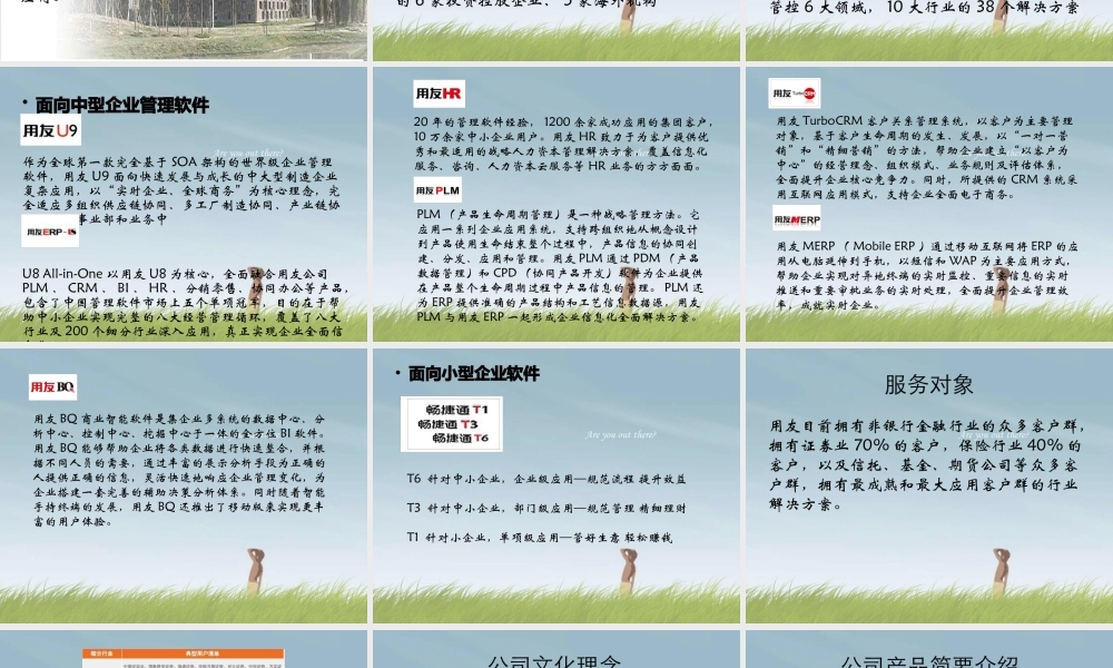 某公司及产品简介
