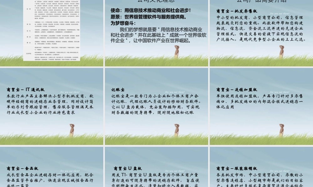 某公司及产品简介