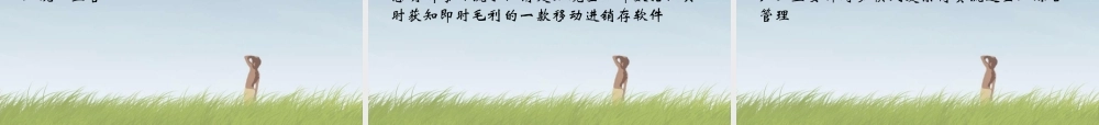 某公司及产品简介