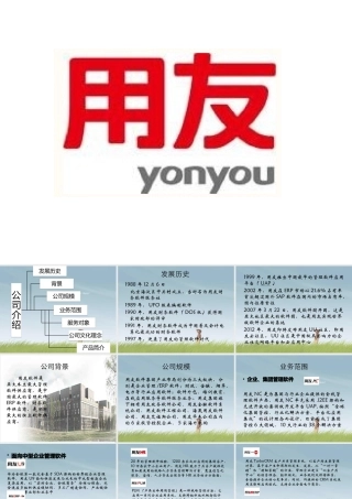 某公司及产品简介