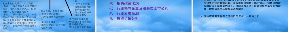 服装行业分析资料