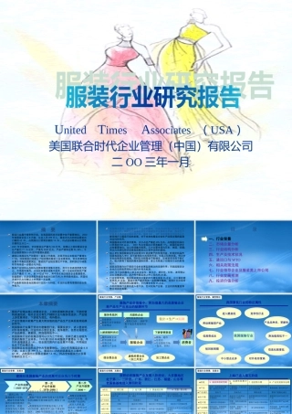 服装行业分析资料