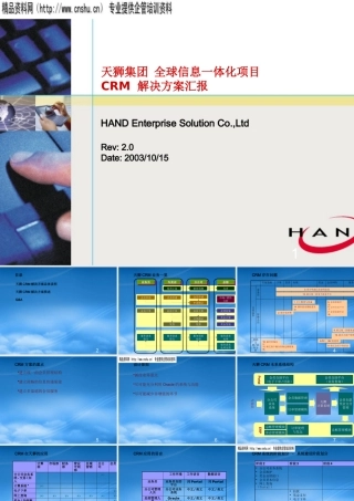 天狮集团全球信息一体化项目建议方案