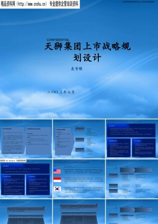 天狮集团上市战略规划设计