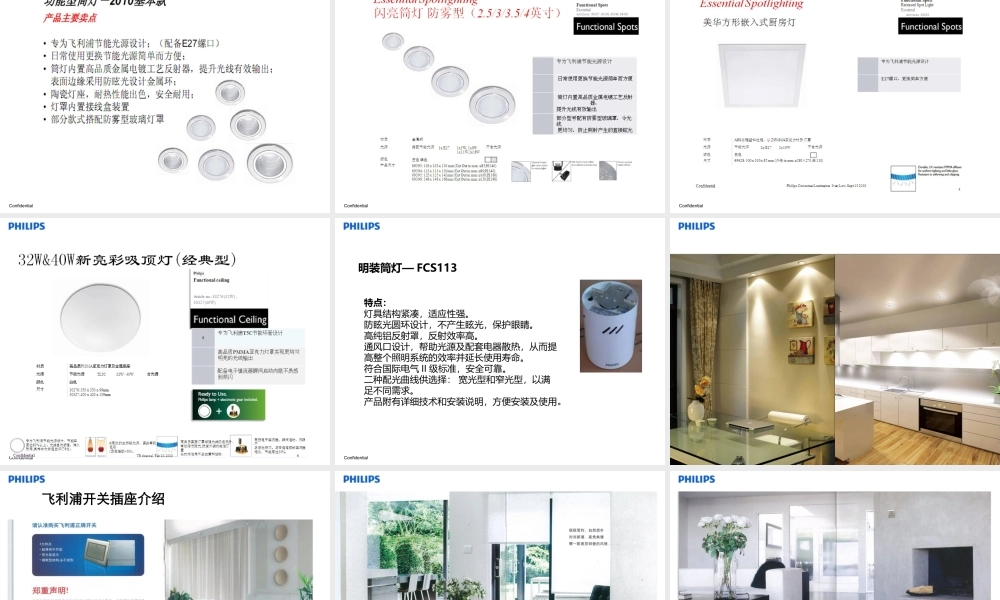 某公司及产品介绍