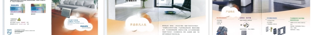 某公司及产品介绍