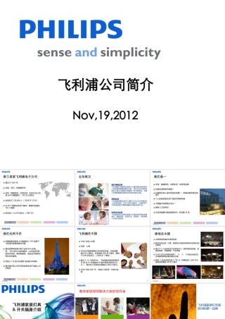 某公司及产品介绍