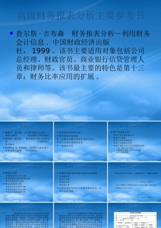 服装行业高级财务报表分析培训资料