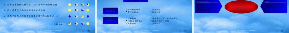 天狮集团战略设计和首次上市咨询