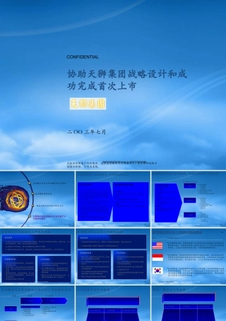 天狮集团战略设计和首次上市咨询