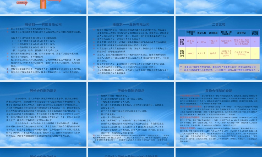 某公司及其分公司股权管理方案