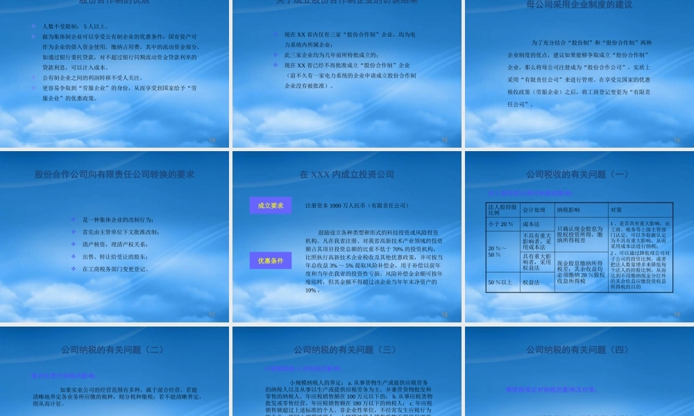 某公司及其分公司股权管理方案