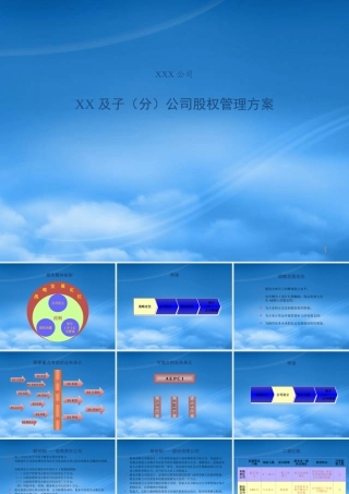 某公司及其分公司股权管理方案