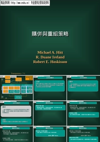 服装行业购并与重组策略培训资料