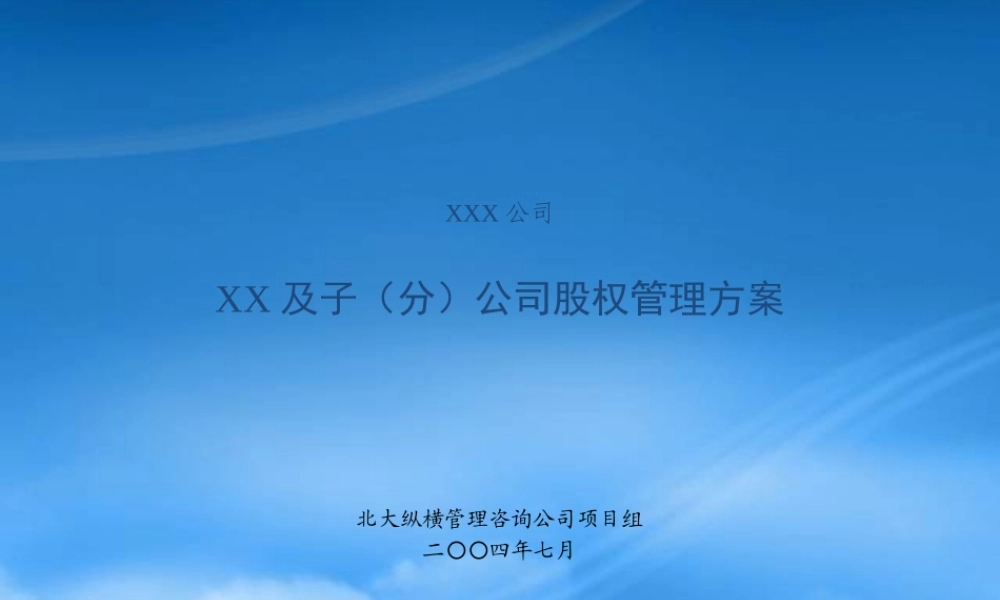 某公司及子公司股权管理方案