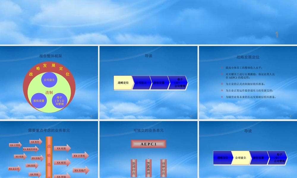 某公司及子公司股权管理方案