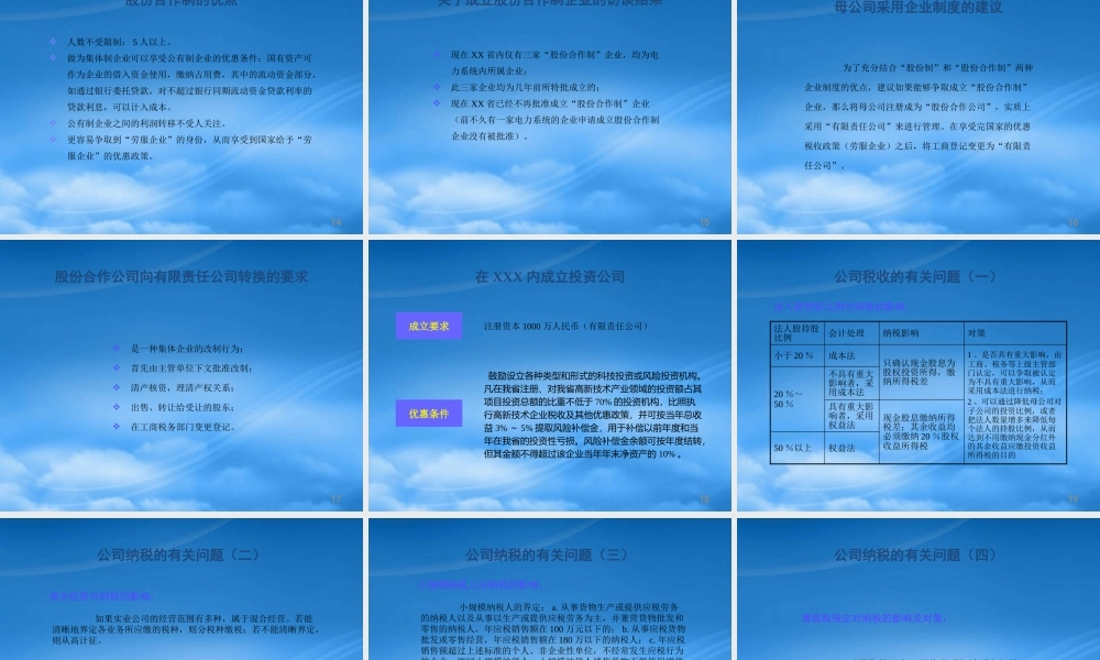 某公司及子公司股权管理方案