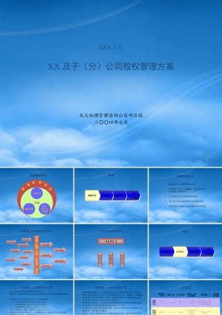 某公司及子公司股权管理方案