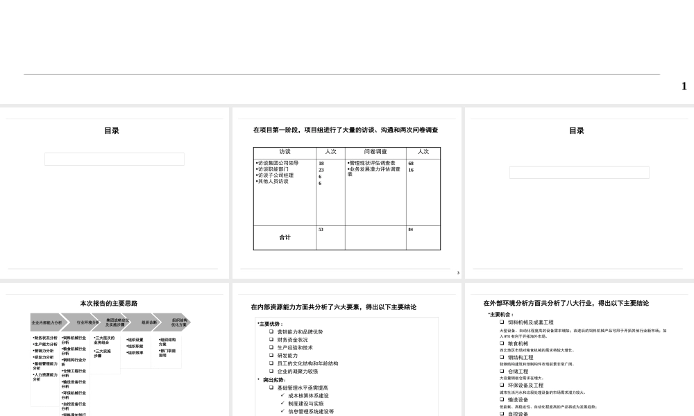 某公司集团战略和组织结构报告