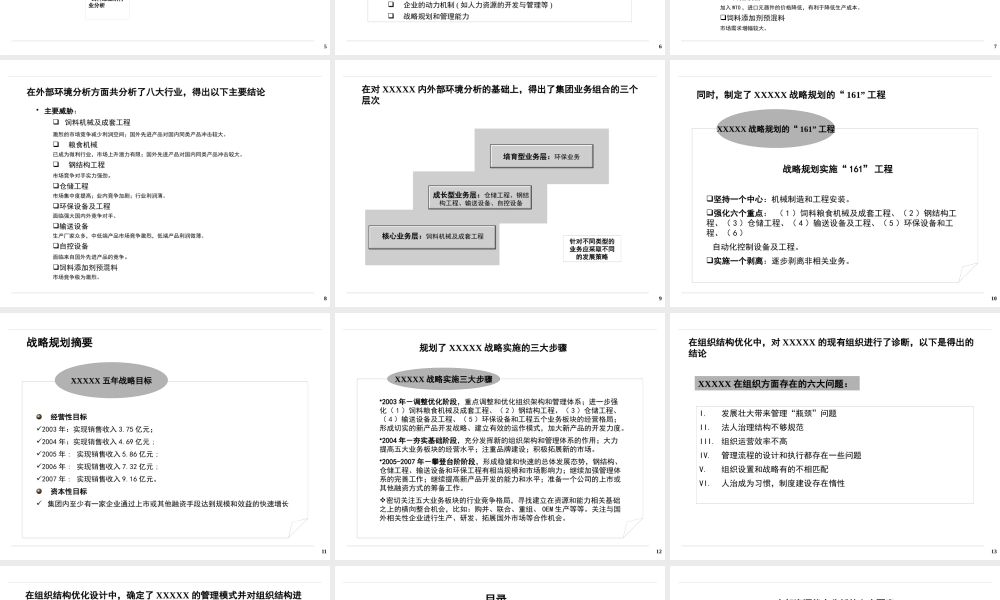 某公司集团战略和组织结构报告