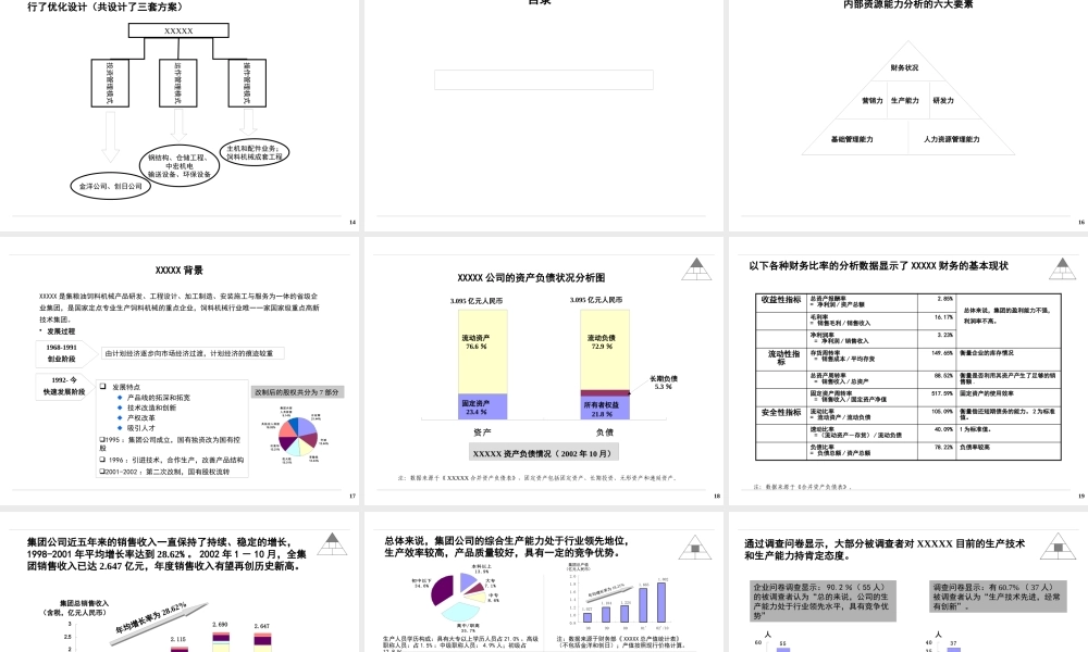 某公司集团战略和组织结构报告