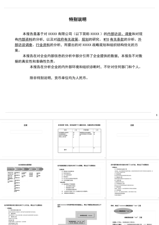 某公司集团战略和组织结构报告