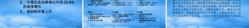 某公司集中化战略教材