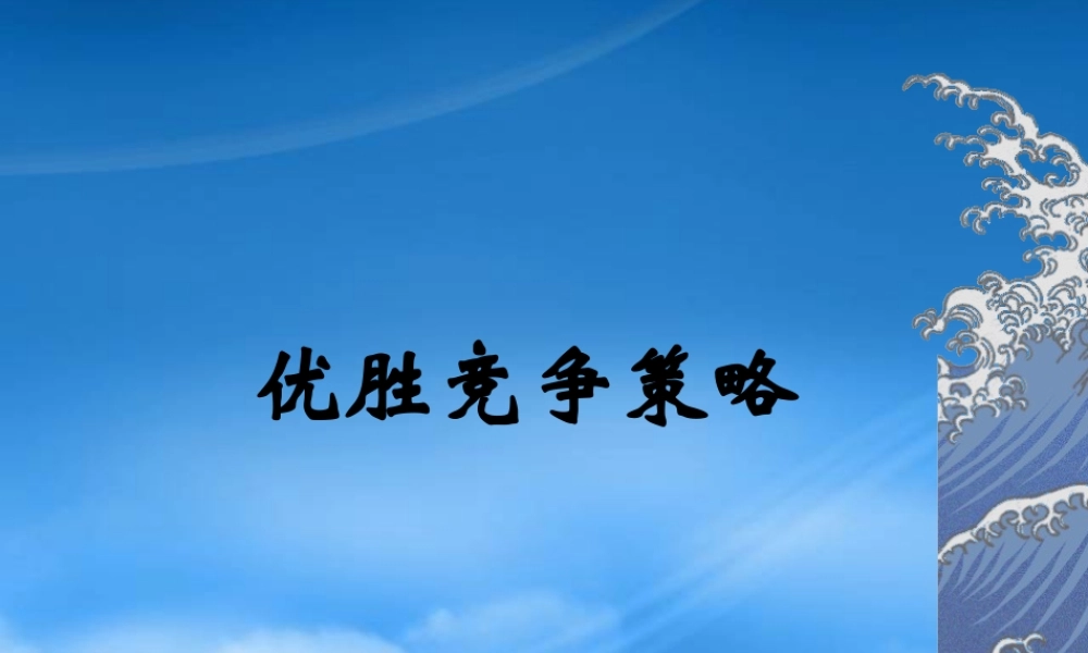 服装行业竞争策略与方案选择