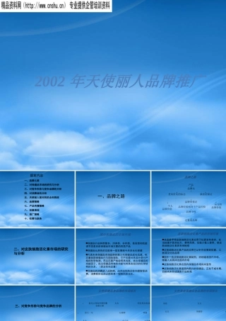 天使丽人品牌推广(1)
