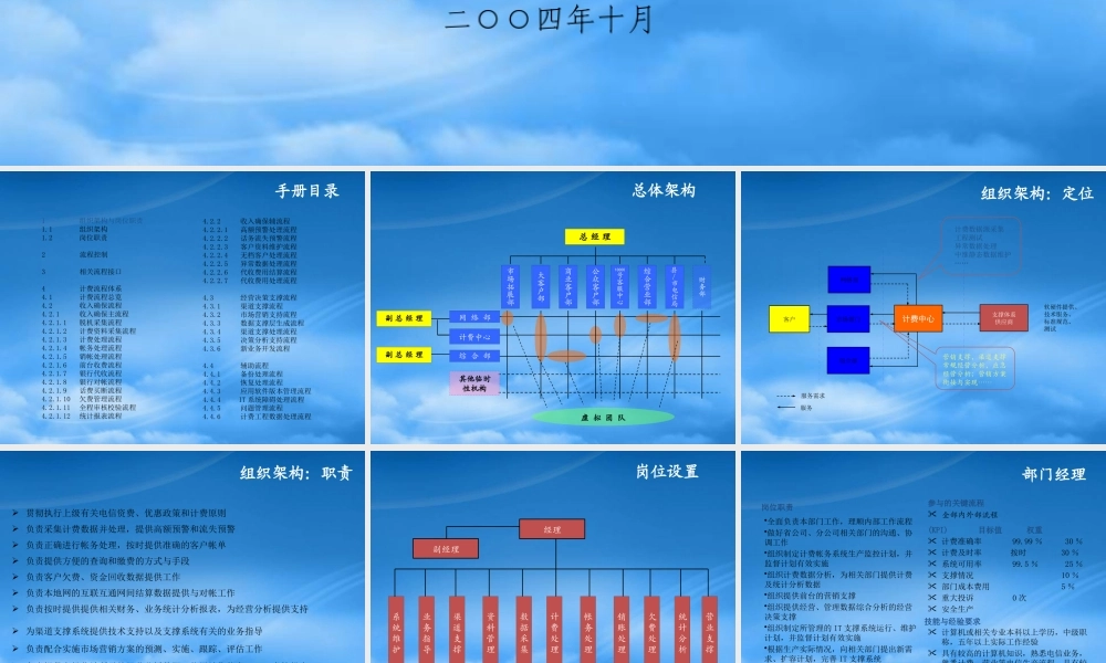 某公司计费帐务流程手册