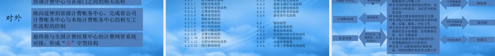 某公司计费帐务流程手册