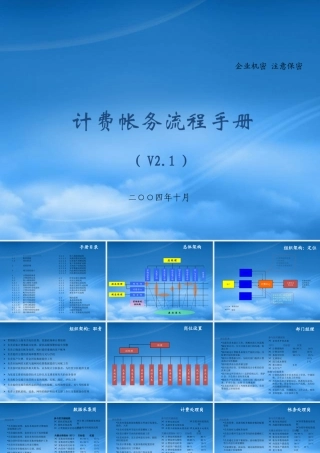 某公司计费帐务流程手册