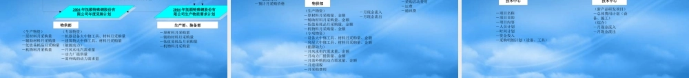 某公司计划管理与某某年预算编制培训报告