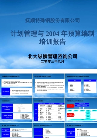 某公司计划管理与某某年预算编制培训报告