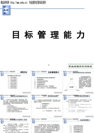 服装行业目标管理能力简介