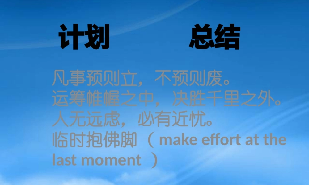 某公司计划总结述职报告