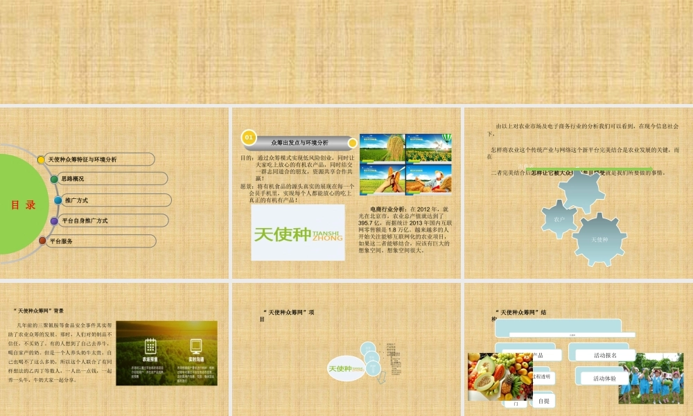 天使种众筹农产品方案