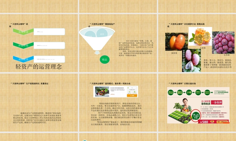 天使种众筹农产品方案