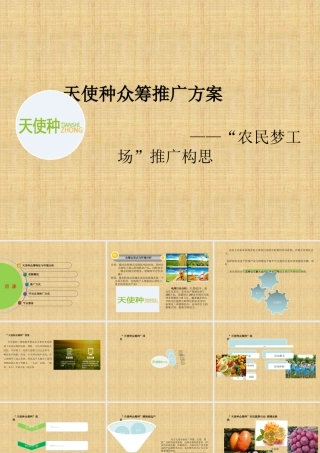 天使种众筹农产品方案