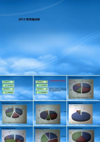 服装行业渠道市场分析