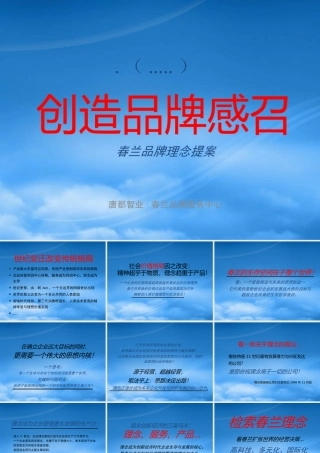 如何创造品牌感召力(ppt 53页)