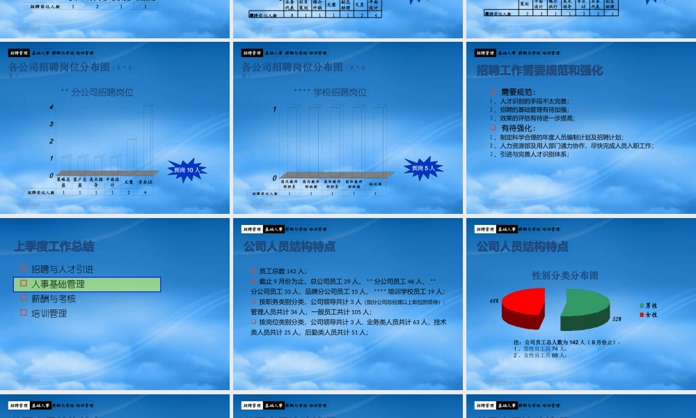 某公司季度述职报告