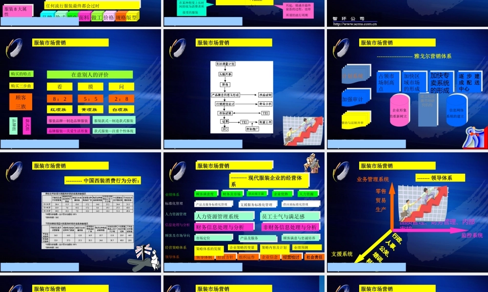 服装行业-市场营销分析