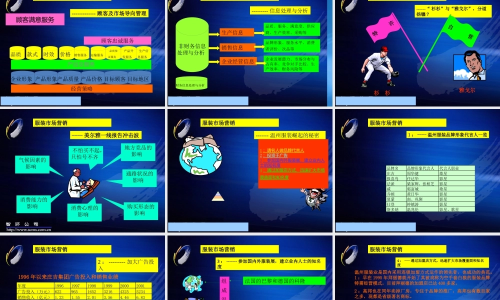 服装行业-市场营销分析