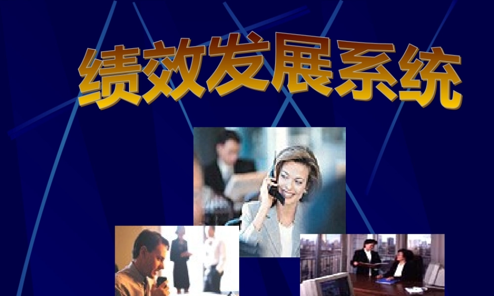 某公司绩效发展系统简介
